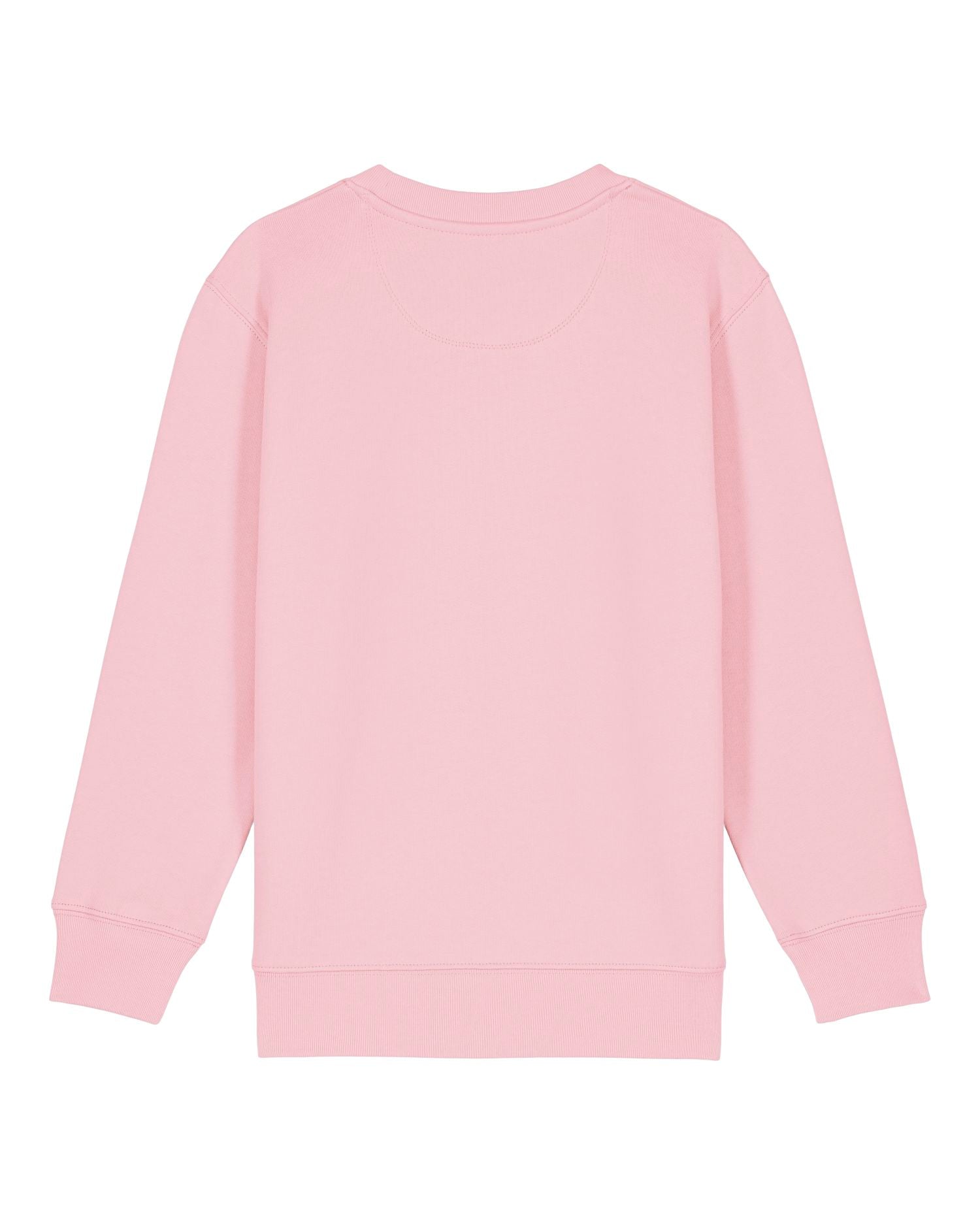 Kinderen' Organische Crew Neck Sweatshirt - 300 GSM | Mini Changer 2.0 STSK181