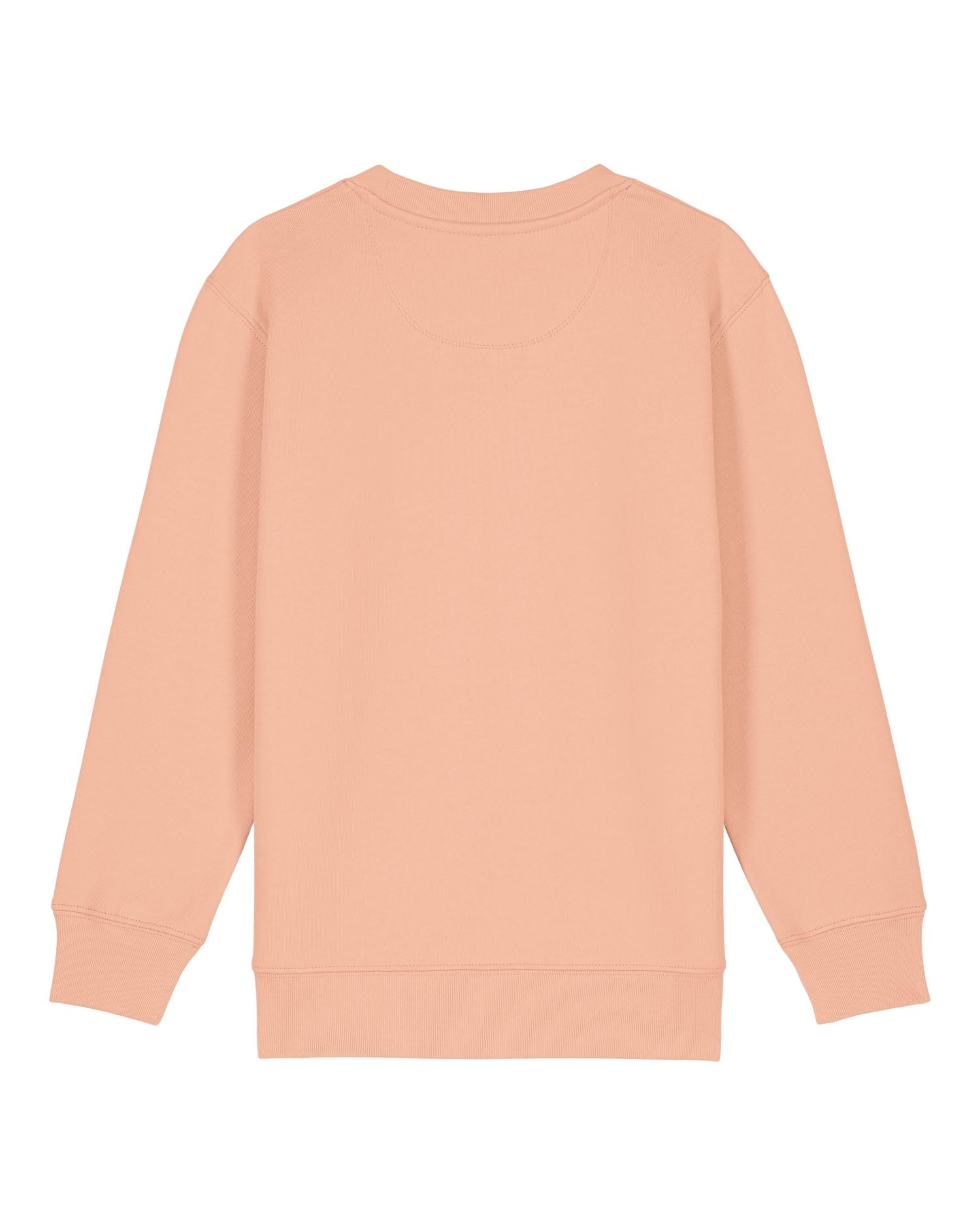 Kinderen' Organische Crew Neck Sweatshirt - 300 GSM | Mini Changer 2.0 STSK181