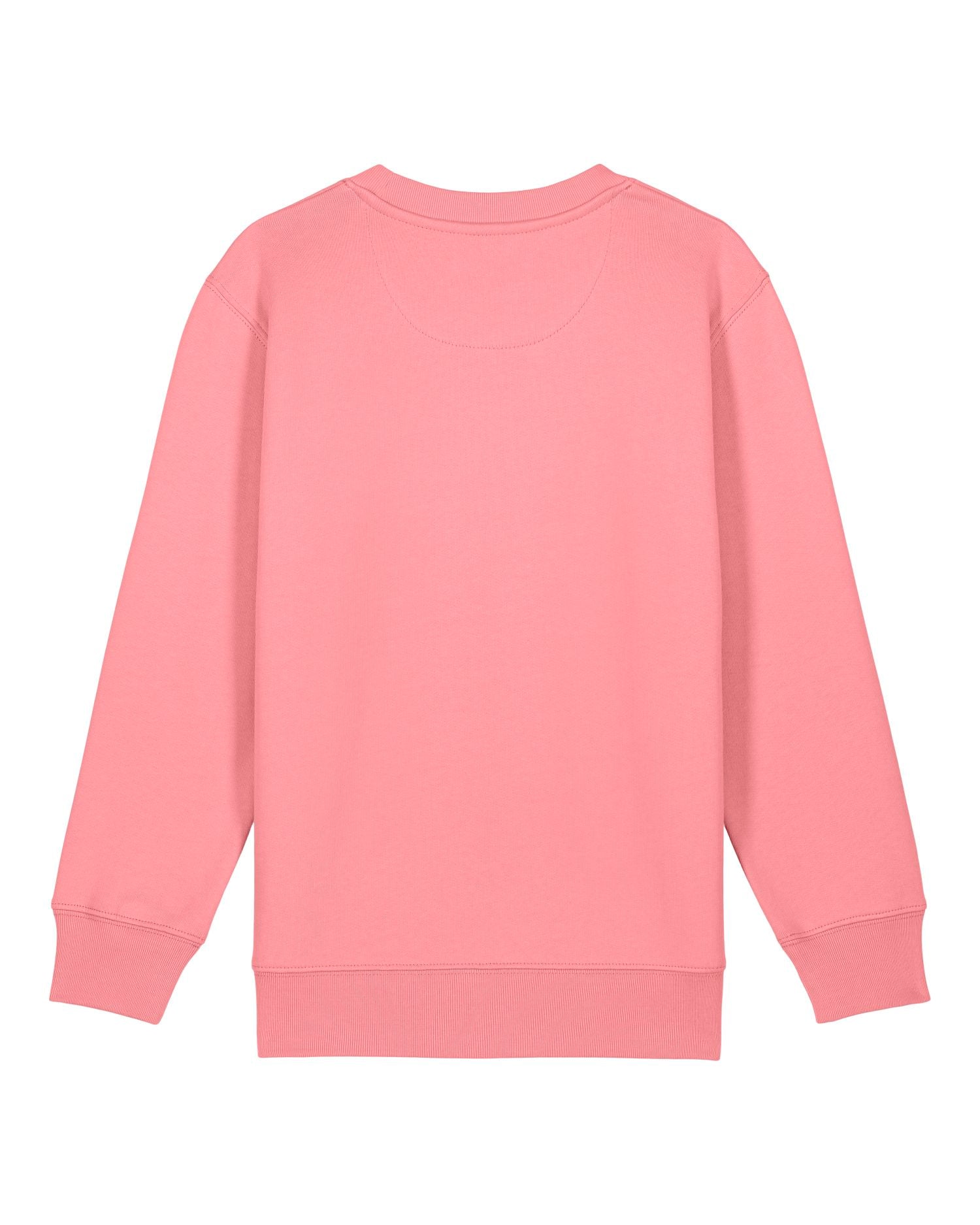 Kids' Organic Crew Neck Sweatshirt - 300 GSM | Mini Changer 2.0 STSK181