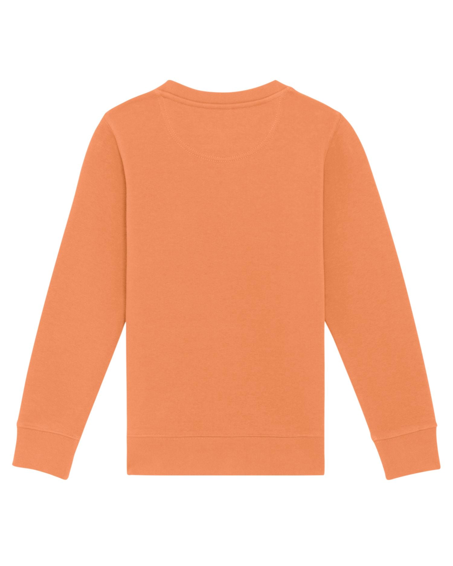 Stanley & Stella STSK913 - Mini Changer Crewnecks