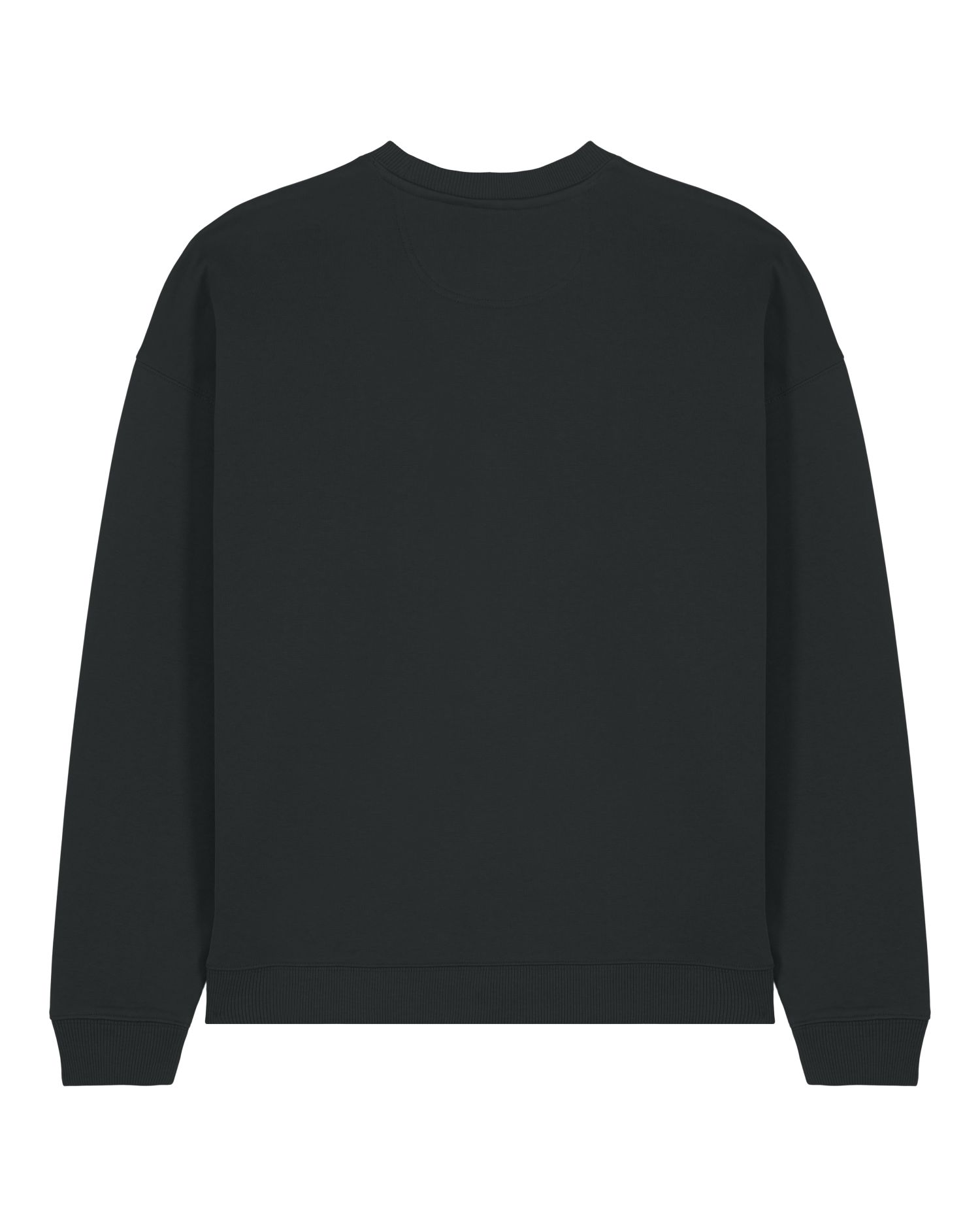 Unisex Oversized Organic Cotton Crew Neck Sweatshirt - 350 GSM | Radder 2.0 STSU208