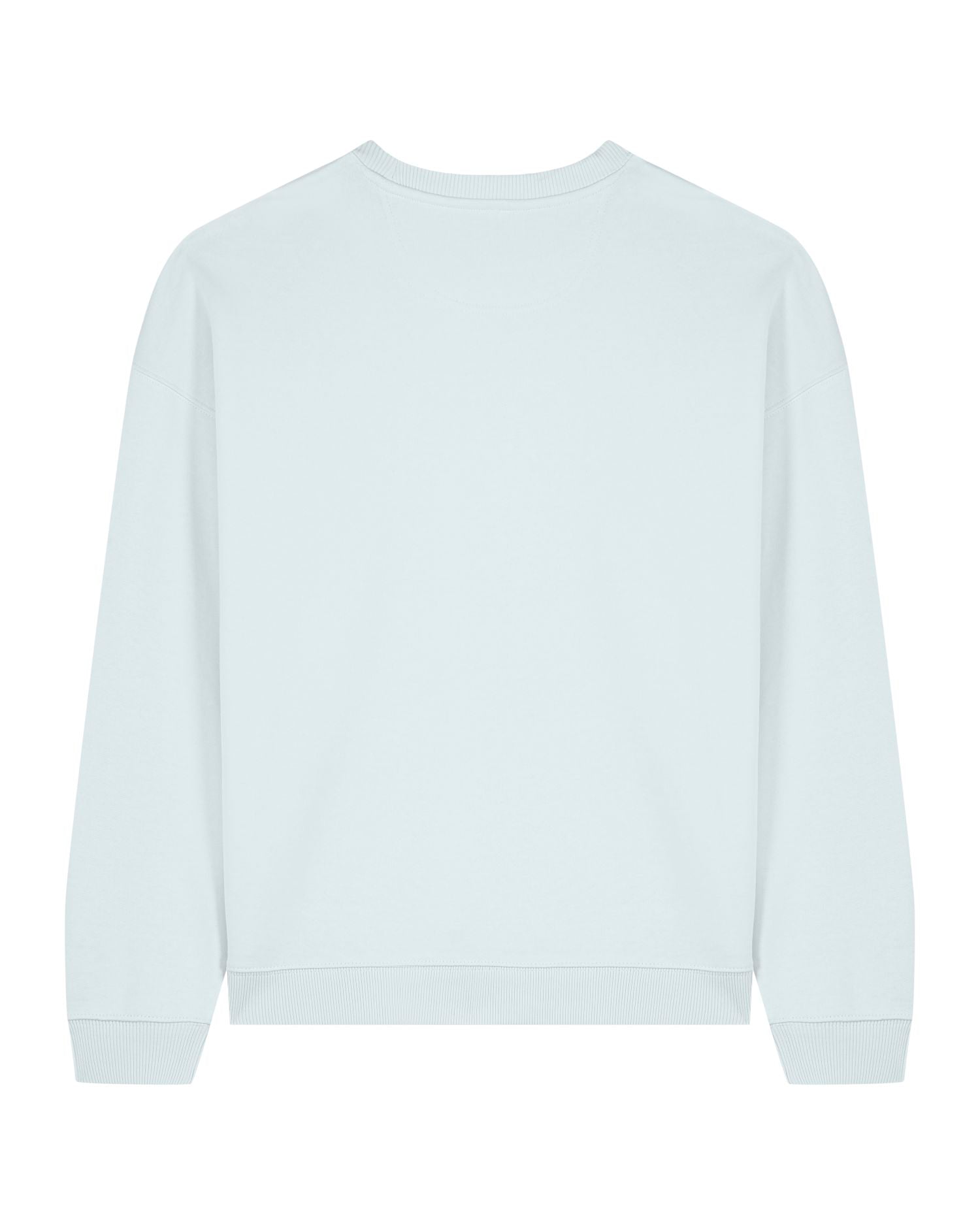 Unisex Oversized Organic Cotton Crew Neck Sweatshirt - 350 GSM | Radder 2.0 STSU208