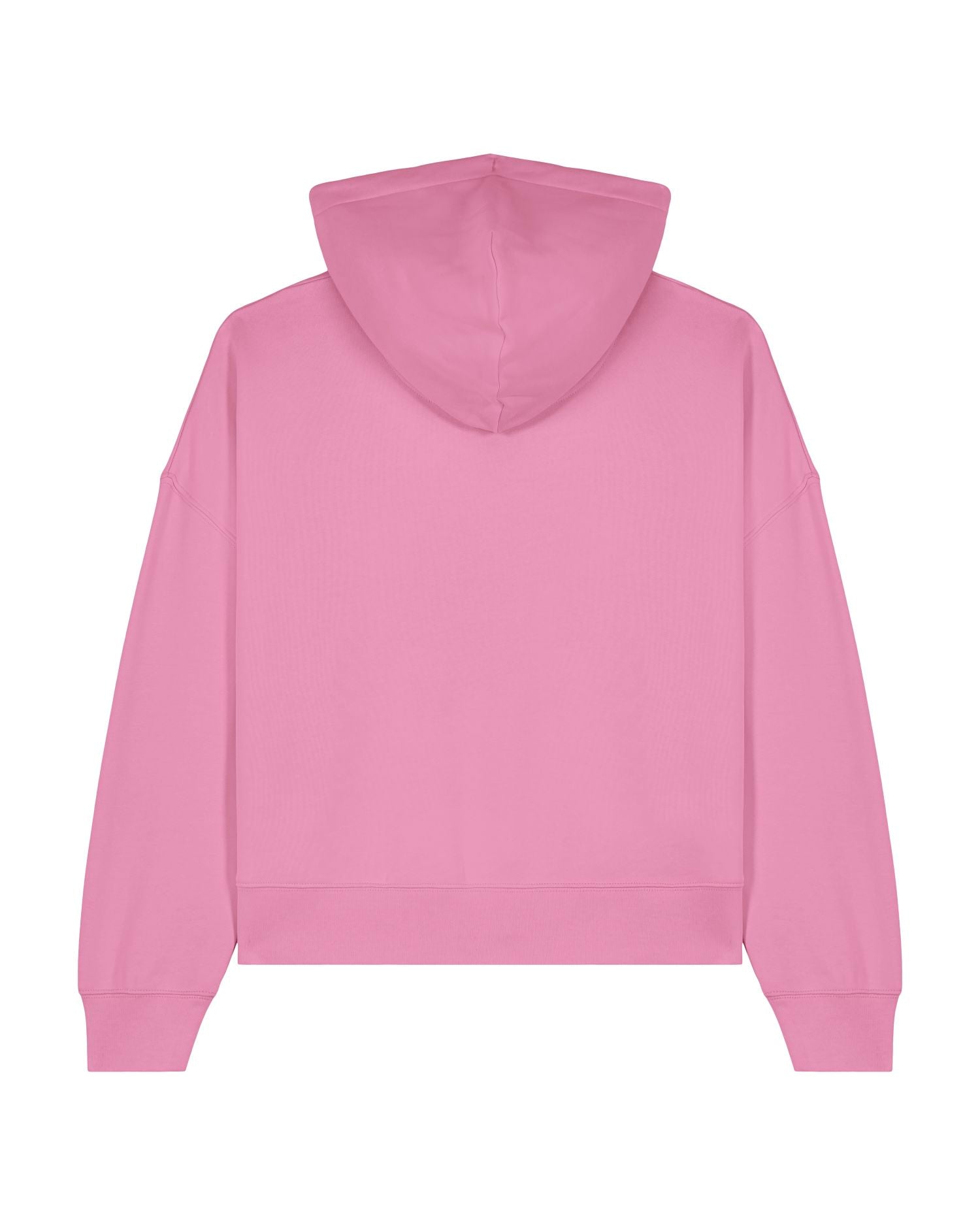 Women's Organic Cotton Hoodie Sweatshirt - 300 GSM | Nora STSW213