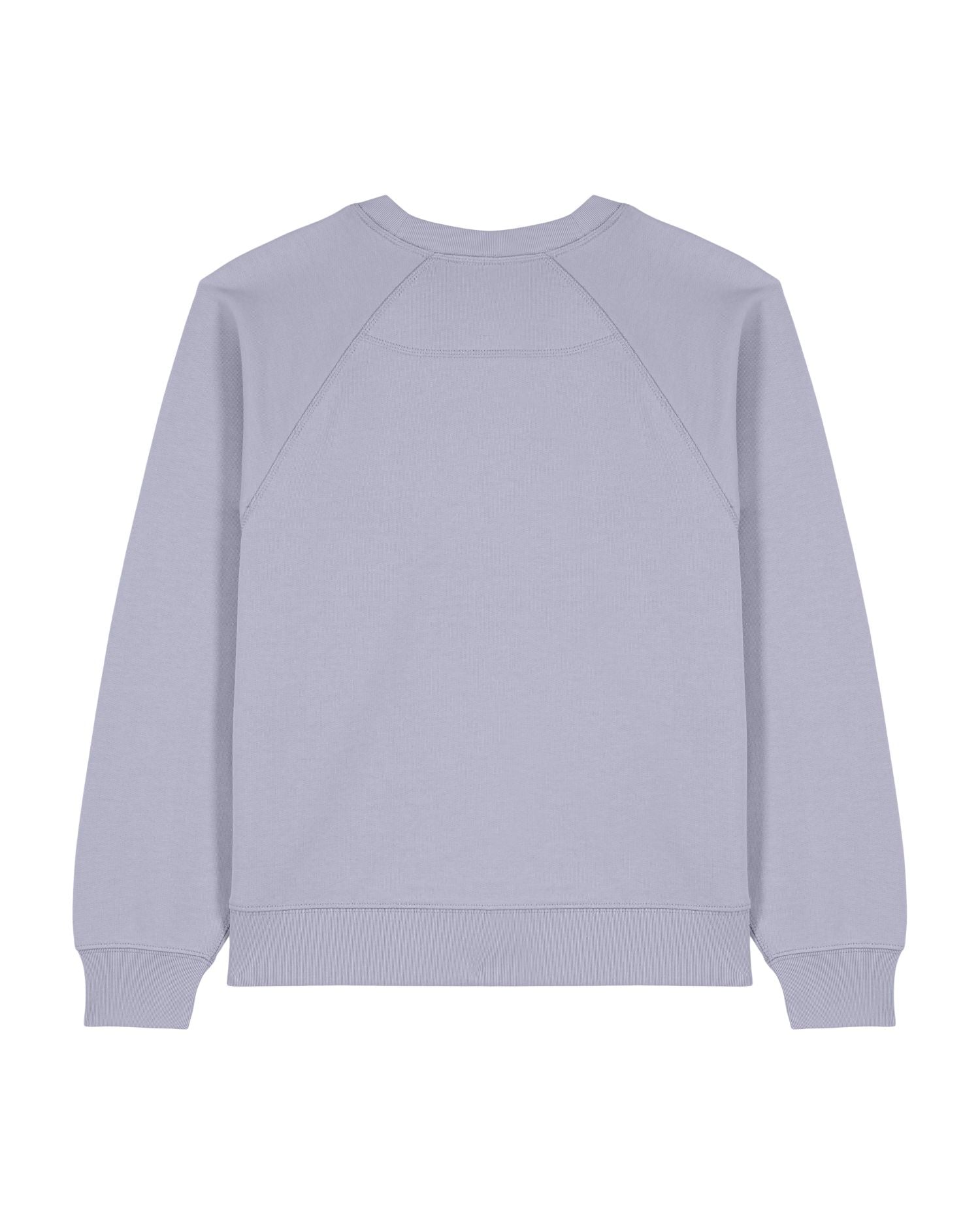 Women's Organic Cotton Raglan Sweatshirt - 300 GSM | Clara STSW217