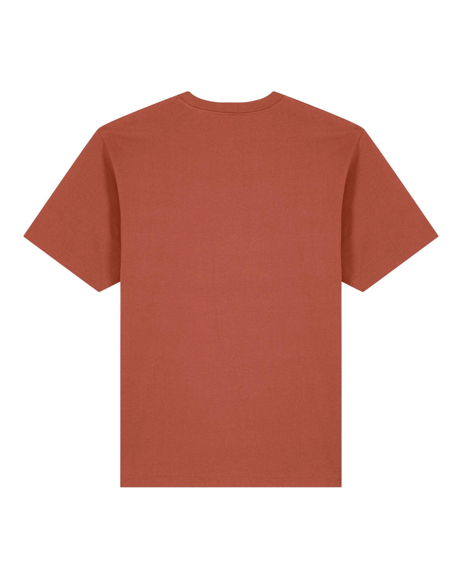 Unisex Heavyweight T-Shirt - 240gr | Freestyler STTU788