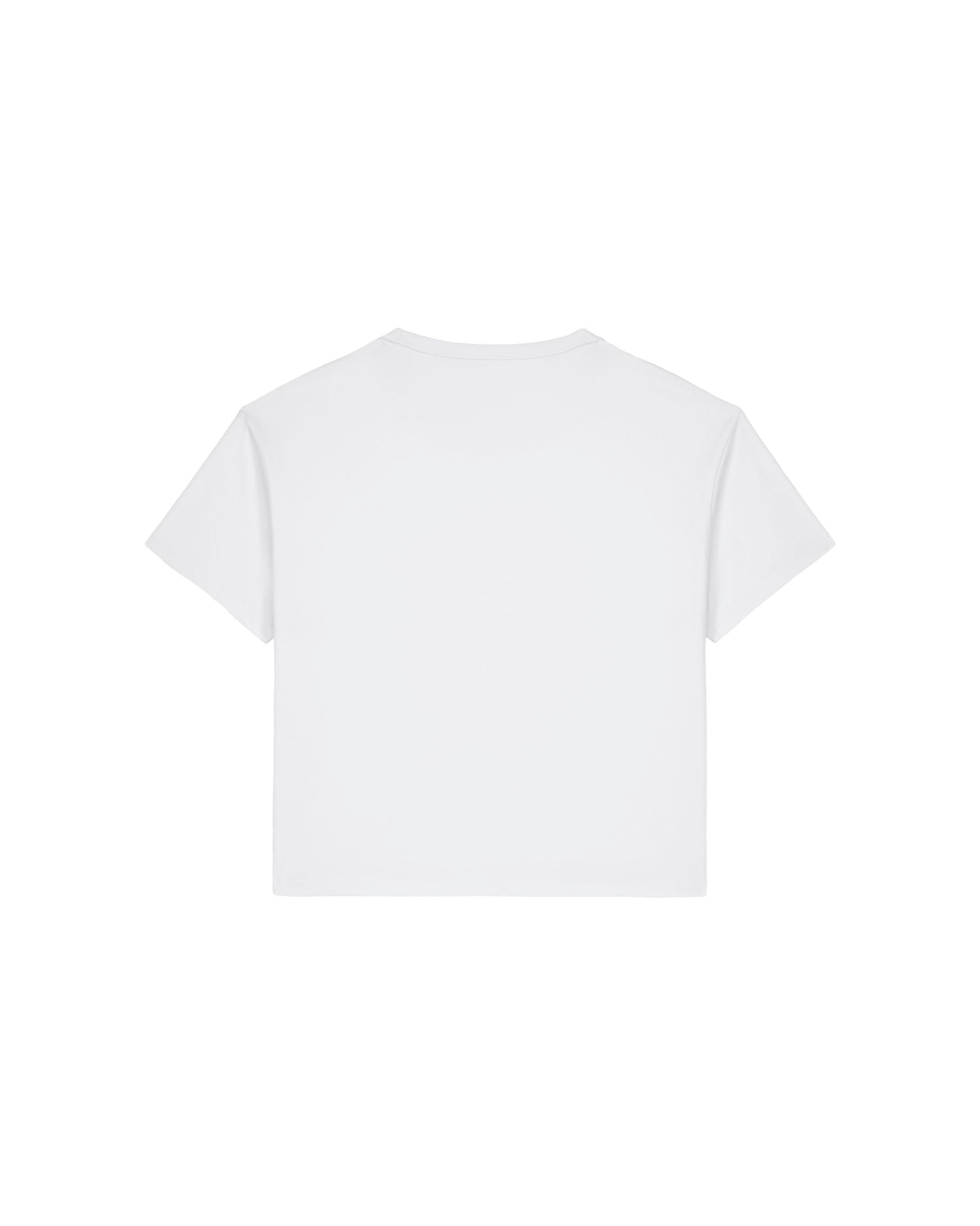 Women's T-shirt with curved high-low hem - 155 GSM | Stella Etta - STTW264