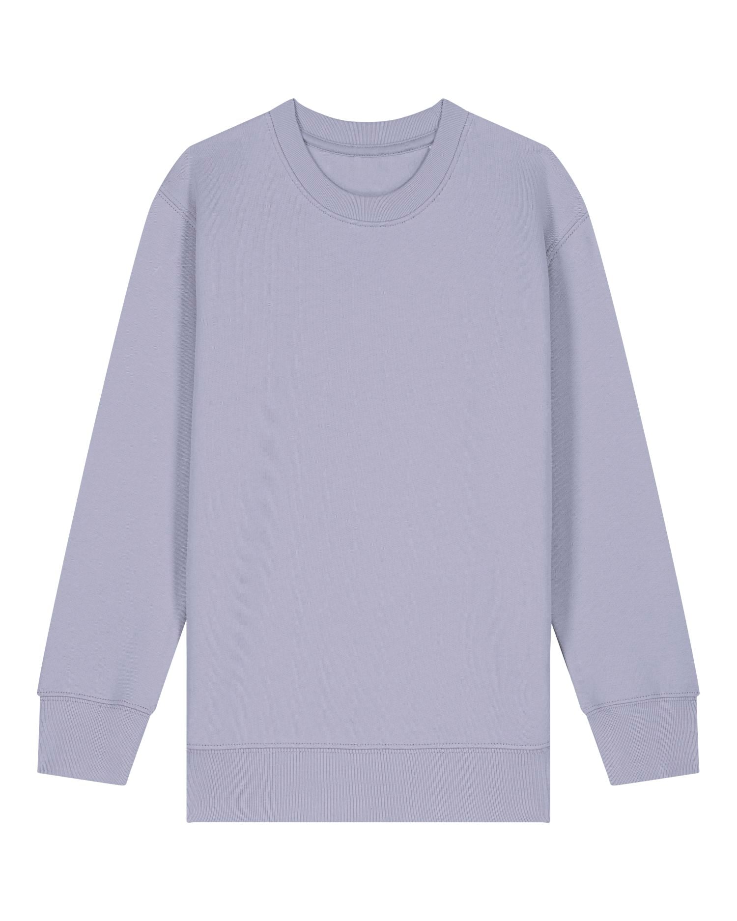 Kinderen' Organische Crew Neck Sweatshirt - 300 GSM | Mini Changer 2.0 STSK181