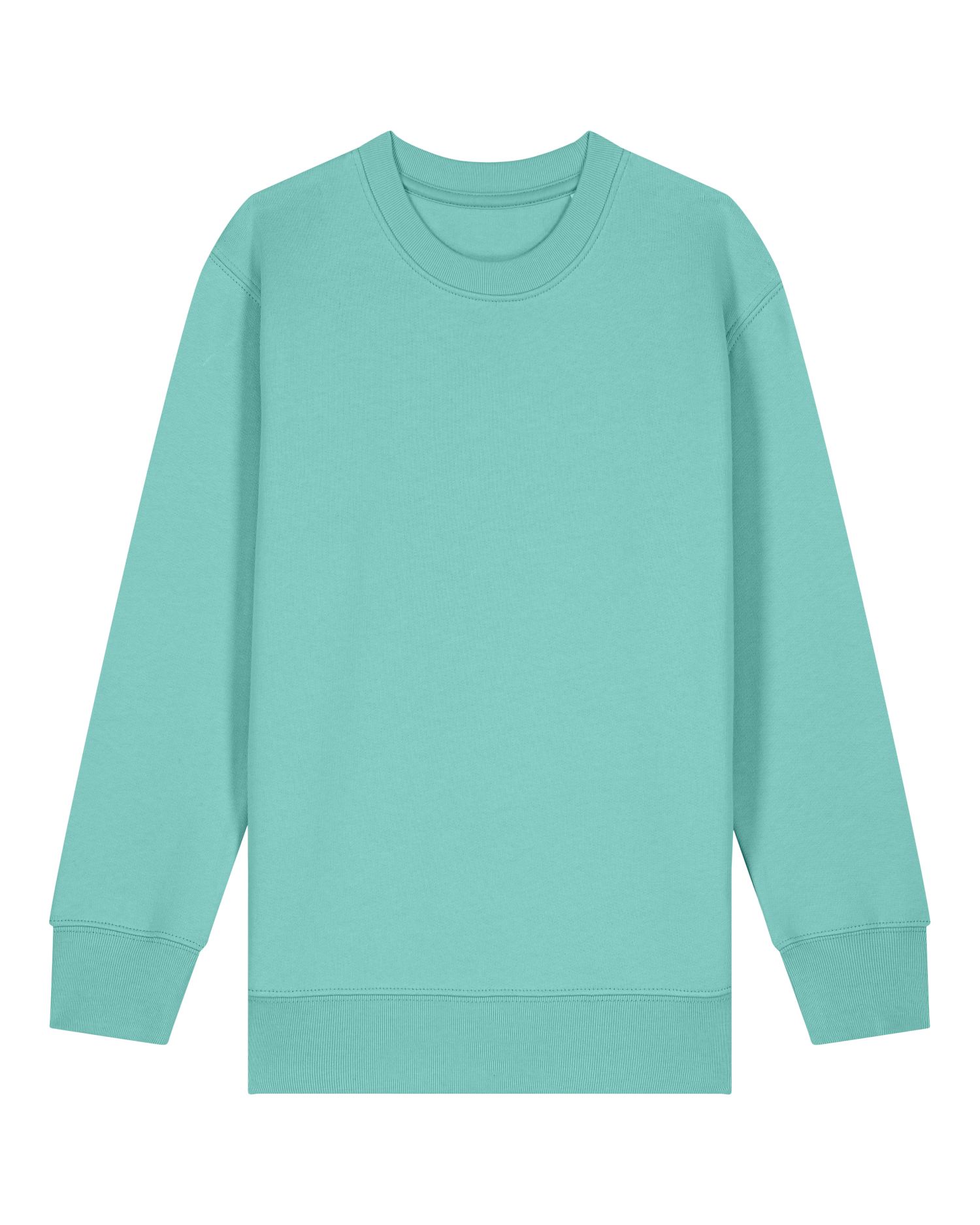 Kids' Organic Crew Neck Sweatshirt - 300 GSM | Mini Changer 2.0 STSK181