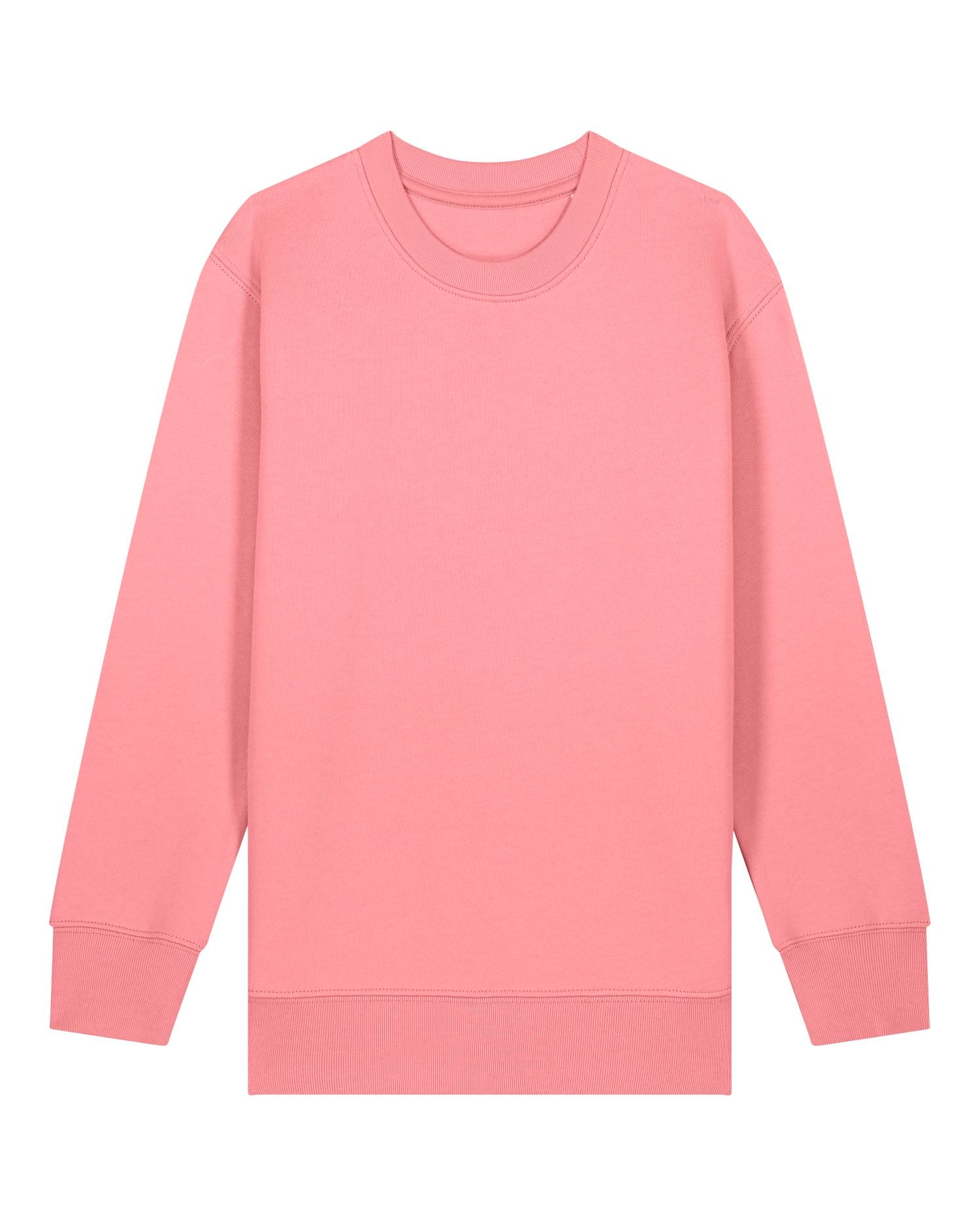Kids' Organic Crew Neck Sweatshirt - 300 GSM | Mini Changer 2.0 STSK181