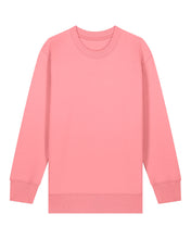Kids' Organic Crew Neck Sweatshirt - 300 GSM | Mini Changer 2.0 STSK181