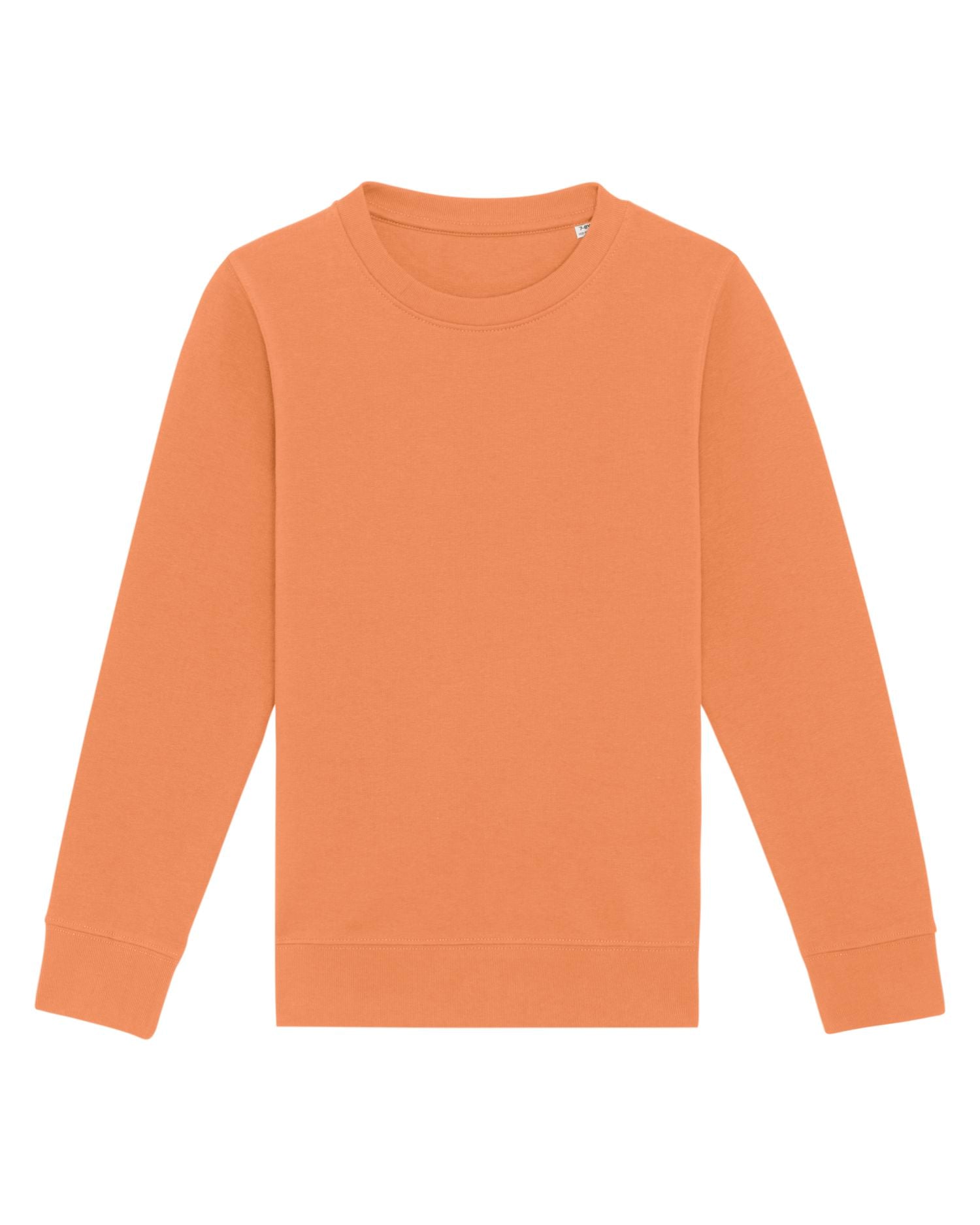 Stanley & Stella STSK913 - Mini Changer Crewnecks