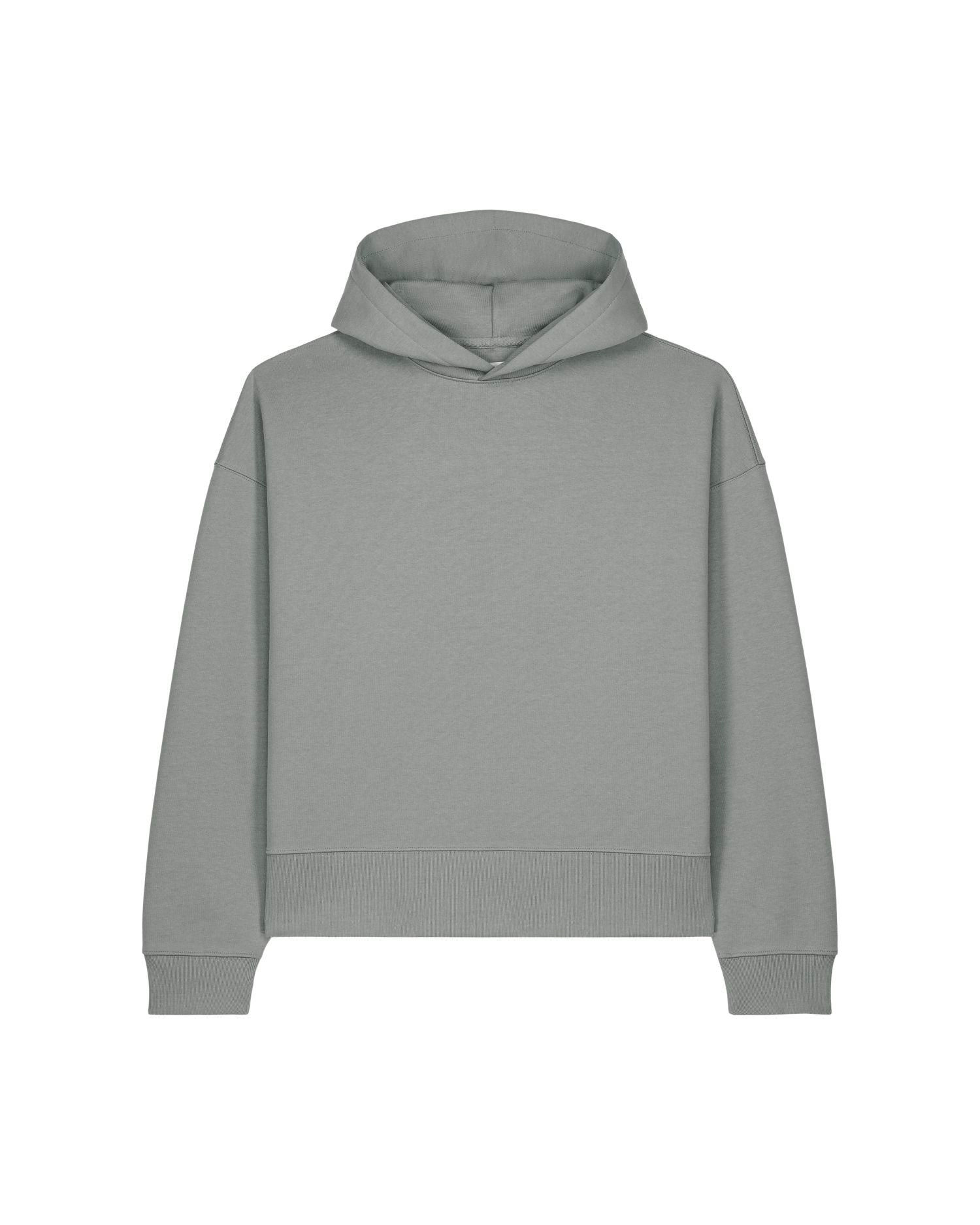 Voicer Hoodie STSU256 | Organic Blank
