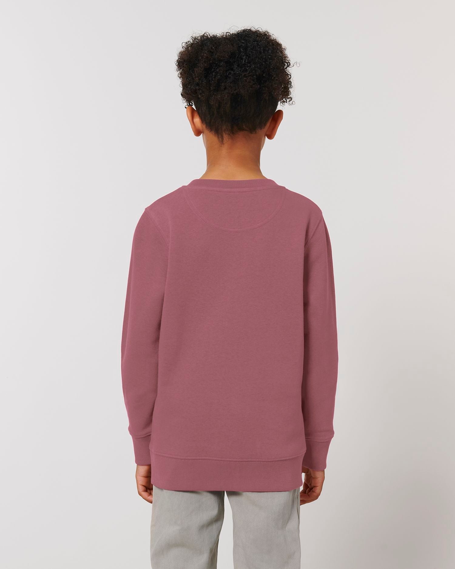 Stanley & Stella STSK913 - Mini Changer Crewnecks