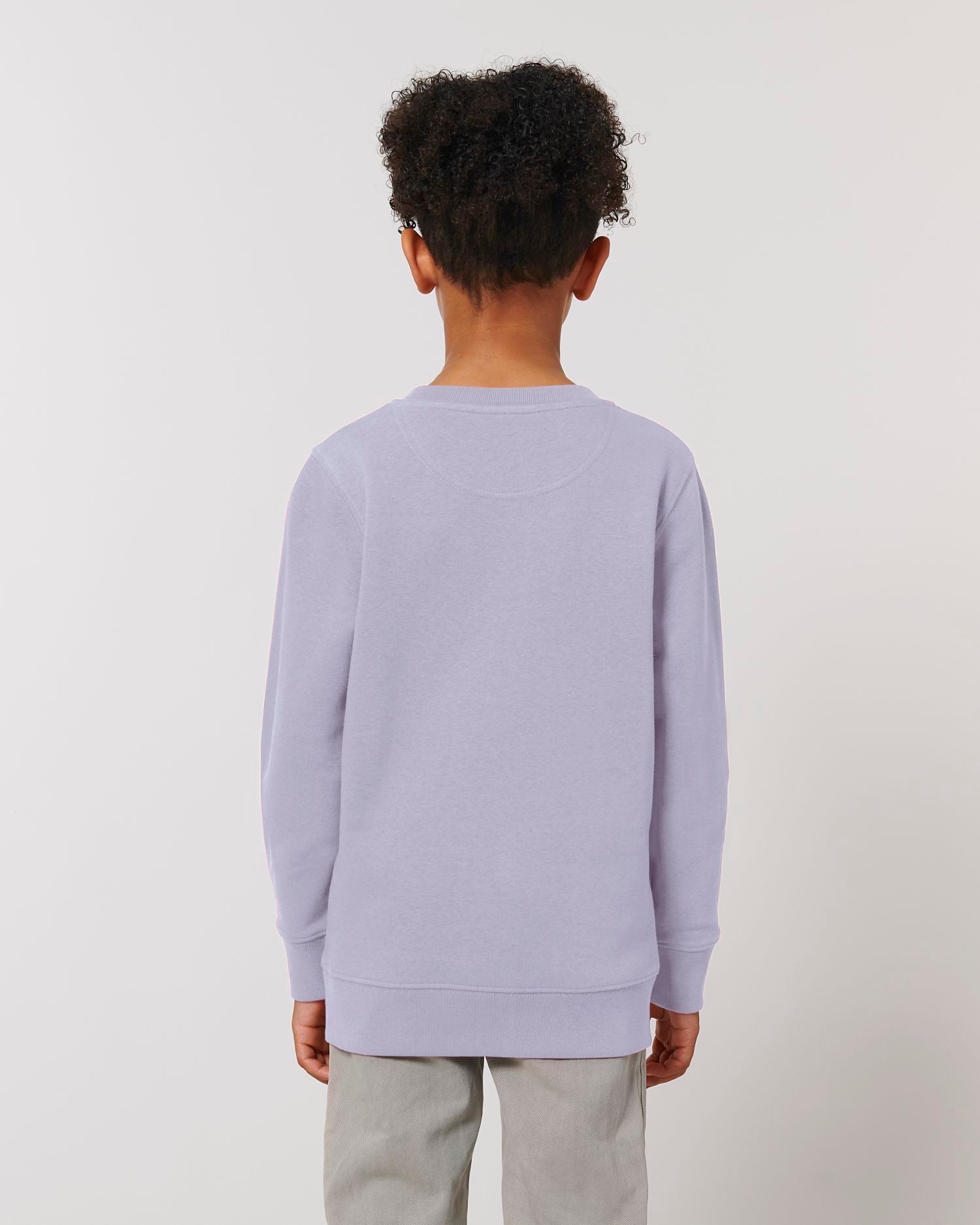 Stanley & Stella STSK913 - Mini Changer Crewnecks