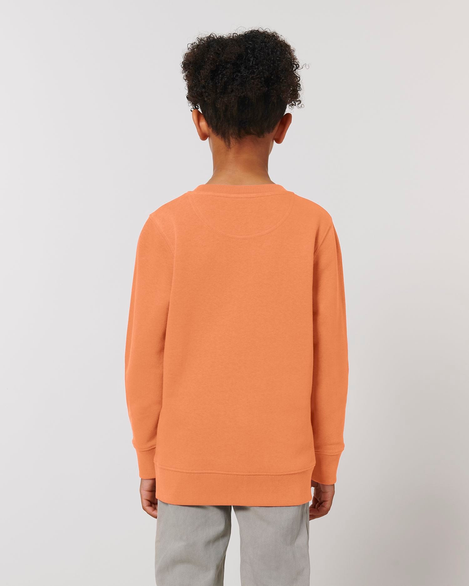 Stanley & Stella STSK913 - Mini Changer Crewnecks
