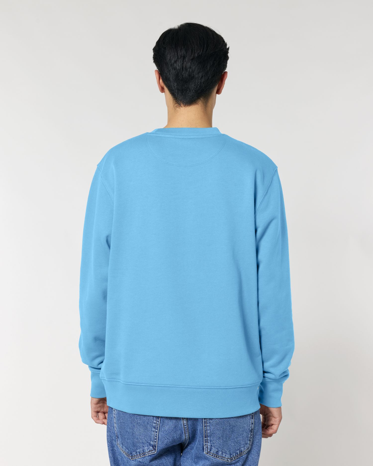 Unisex Crew Neck Sweatshirt - Organic Cotton 350 GSM | STSU178 Changer 2.0
