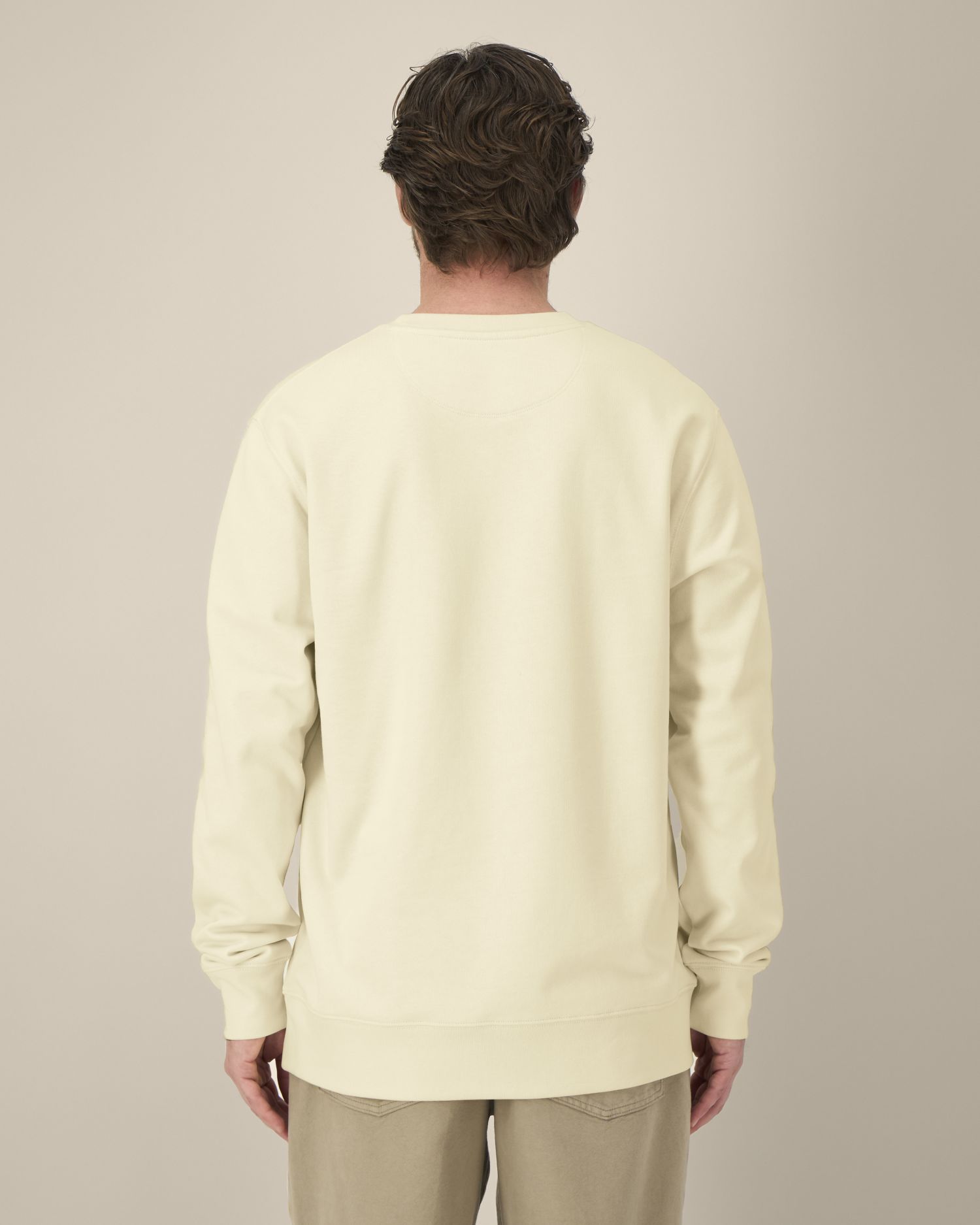 Unisex Crew Neck Sweatshirt - Organic Cotton 350 GSM | STSU178 Changer 2.0