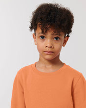 Stanley & Stella STSK913 - Mini Changer Crewnecks