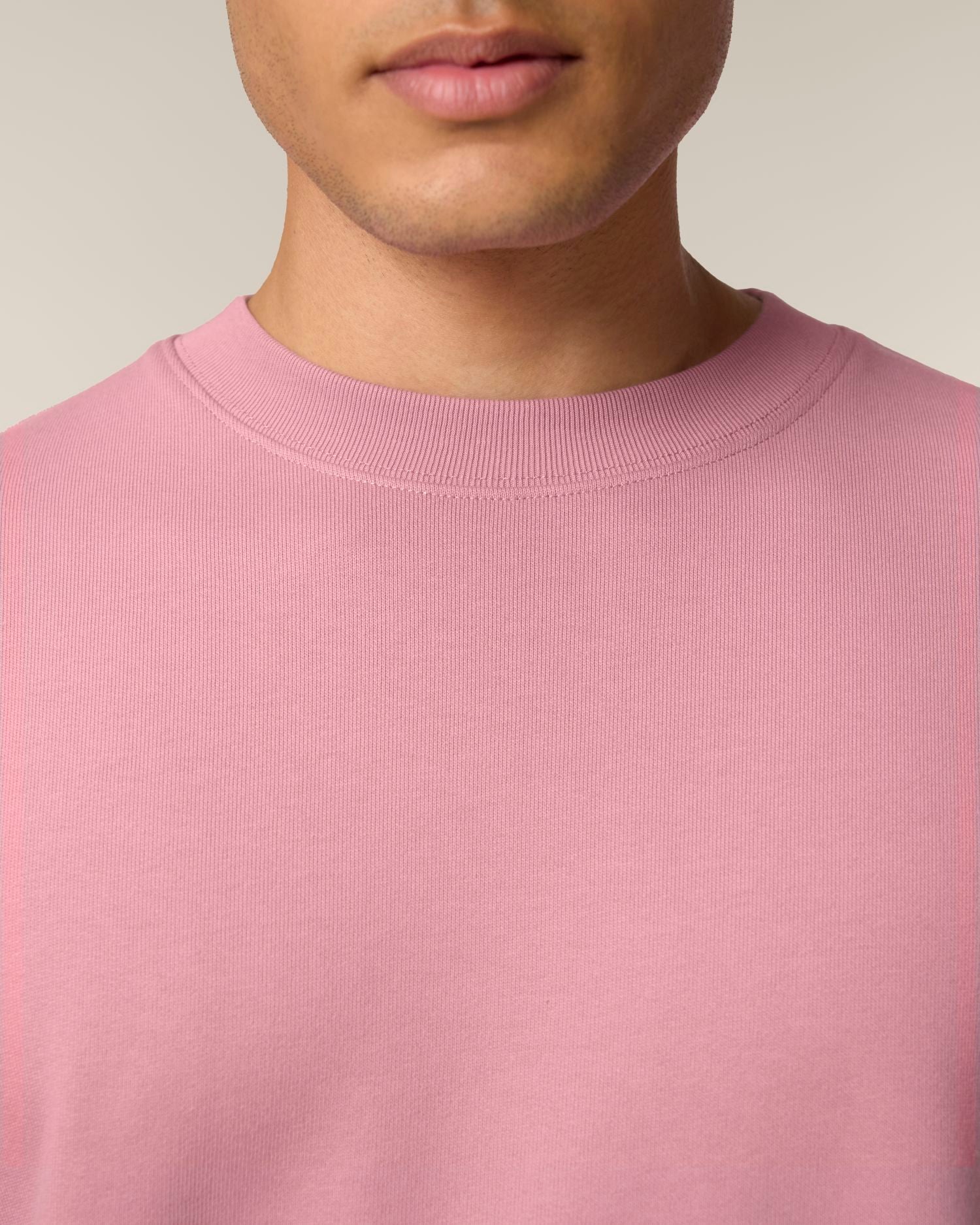 Unisex Crew Neck Sweatshirt - Organic Cotton 350 GSM | STSU178 Changer 2.0