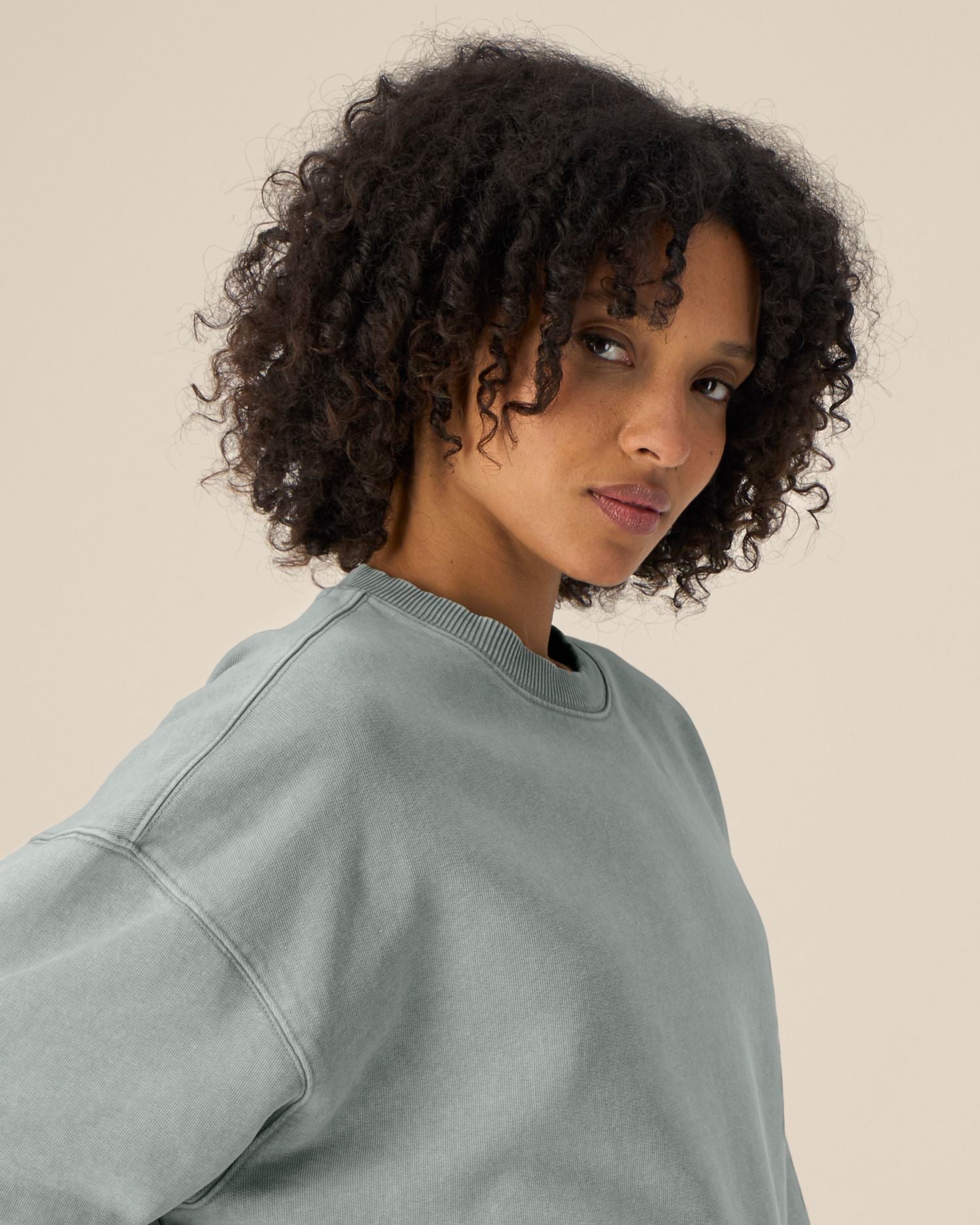 Unisex Organic Oversized Garment Dyed Crew Neck Sweatshirt - 380 GSM | Radder 2.0 Vintage STSU210