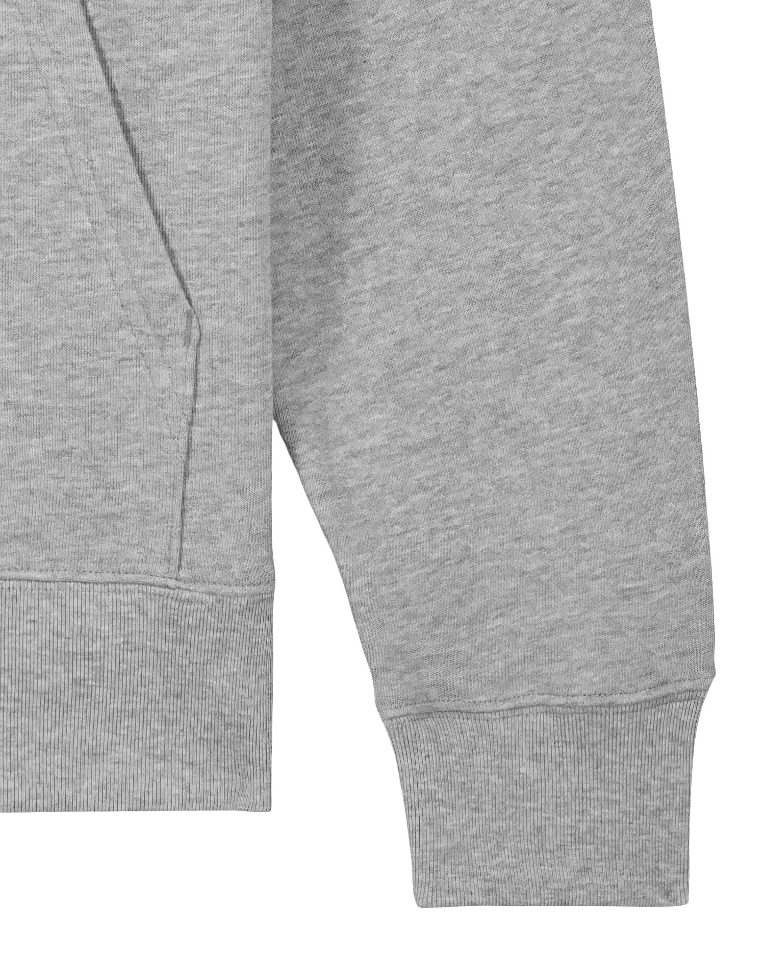 Iconic Unisex Hoodie Sweatshirt | Organic Cotton - 350 GSM | Cruiser 2.0 STSU177