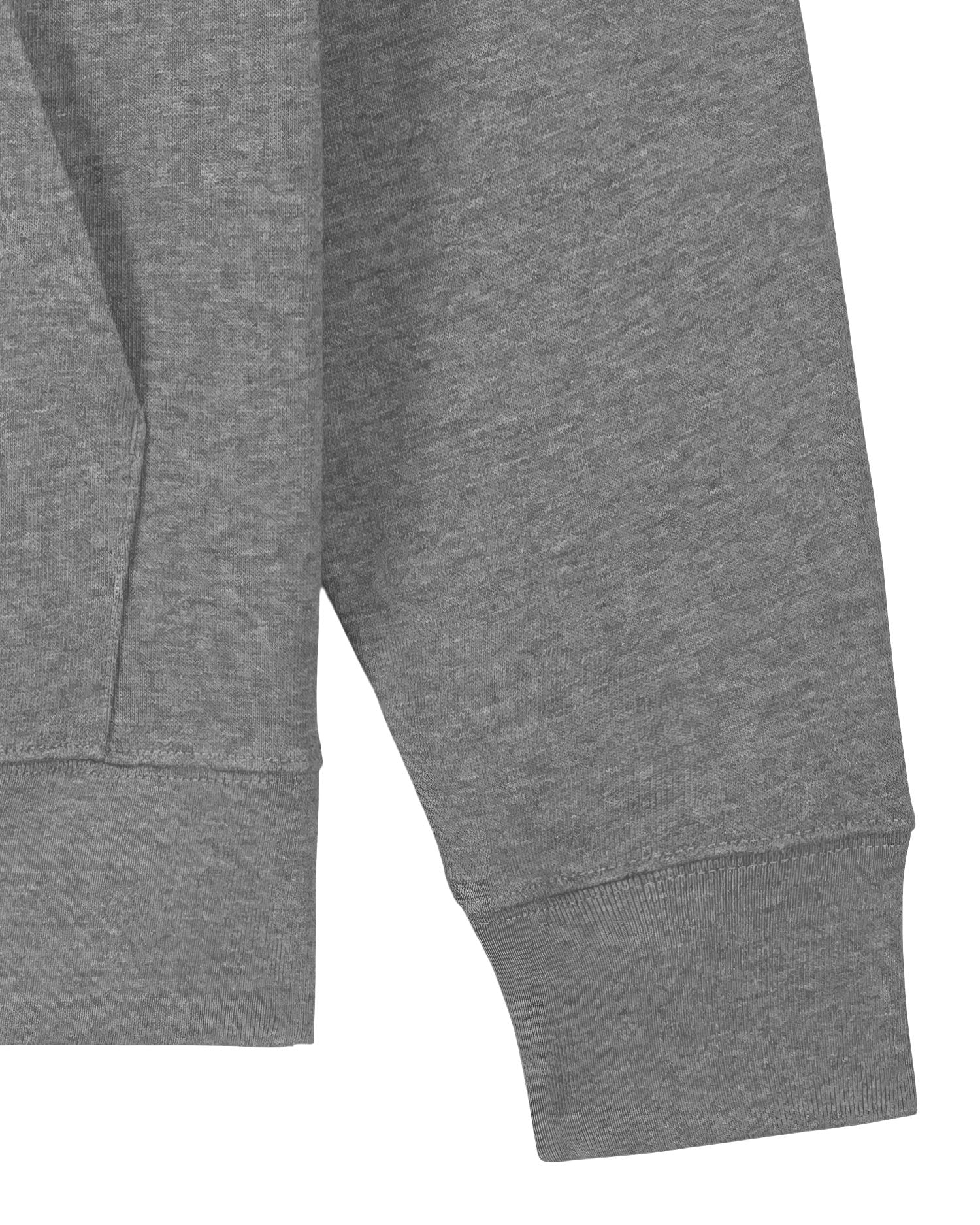 Iconic Unisex Hoodie Sweatshirt | Organic Cotton - 350 GSM | Cruiser 2.0 STSU177