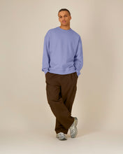 Unisex Oversized Organic Cotton Crew Neck Sweatshirt - 350 GSM | Radder 2.0 STSU208