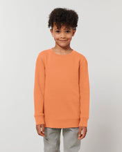 Stanley & Stella STSK913 - Mini Changer Crewnecks
