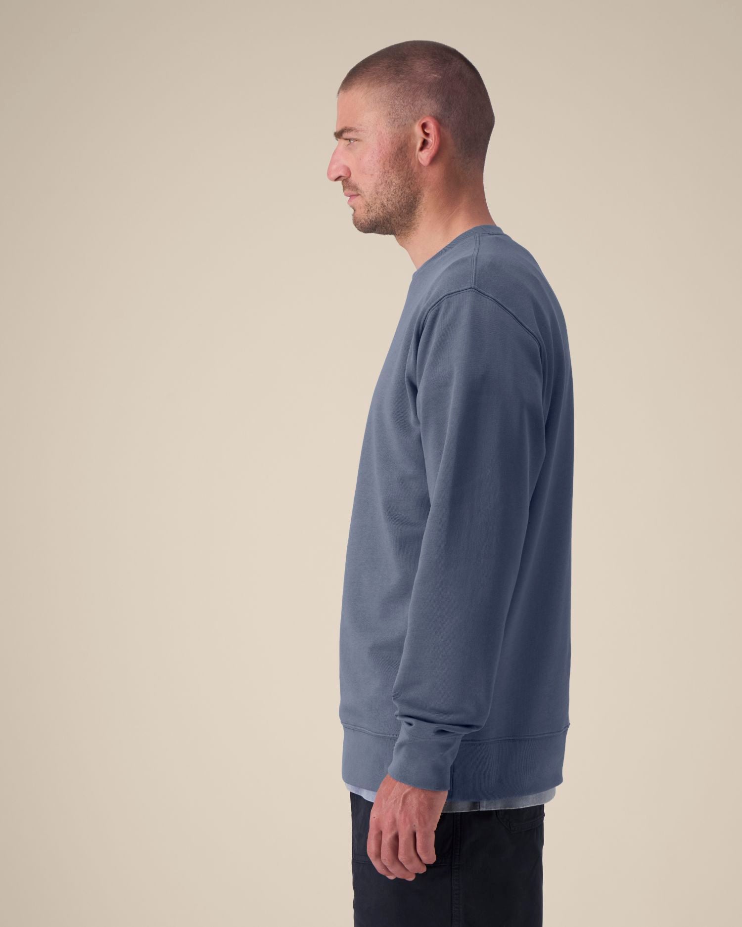 Unisex Crew Neck Sweatshirt - Organic Cotton 350 GSM | STSU178 Changer 2.0