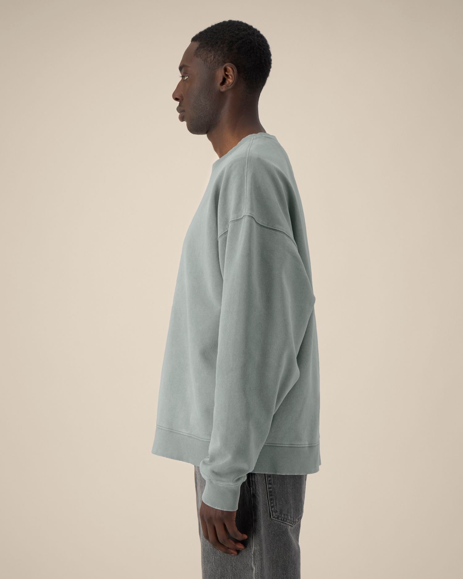 Unisex Organic Oversized Garment Dyed Crew Neck Sweatshirt - 380 GSM | Radder 2.0 Vintage STSU210