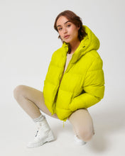 Chaqueta acolchada extragrande para todas las estaciones | Puffer STJU840