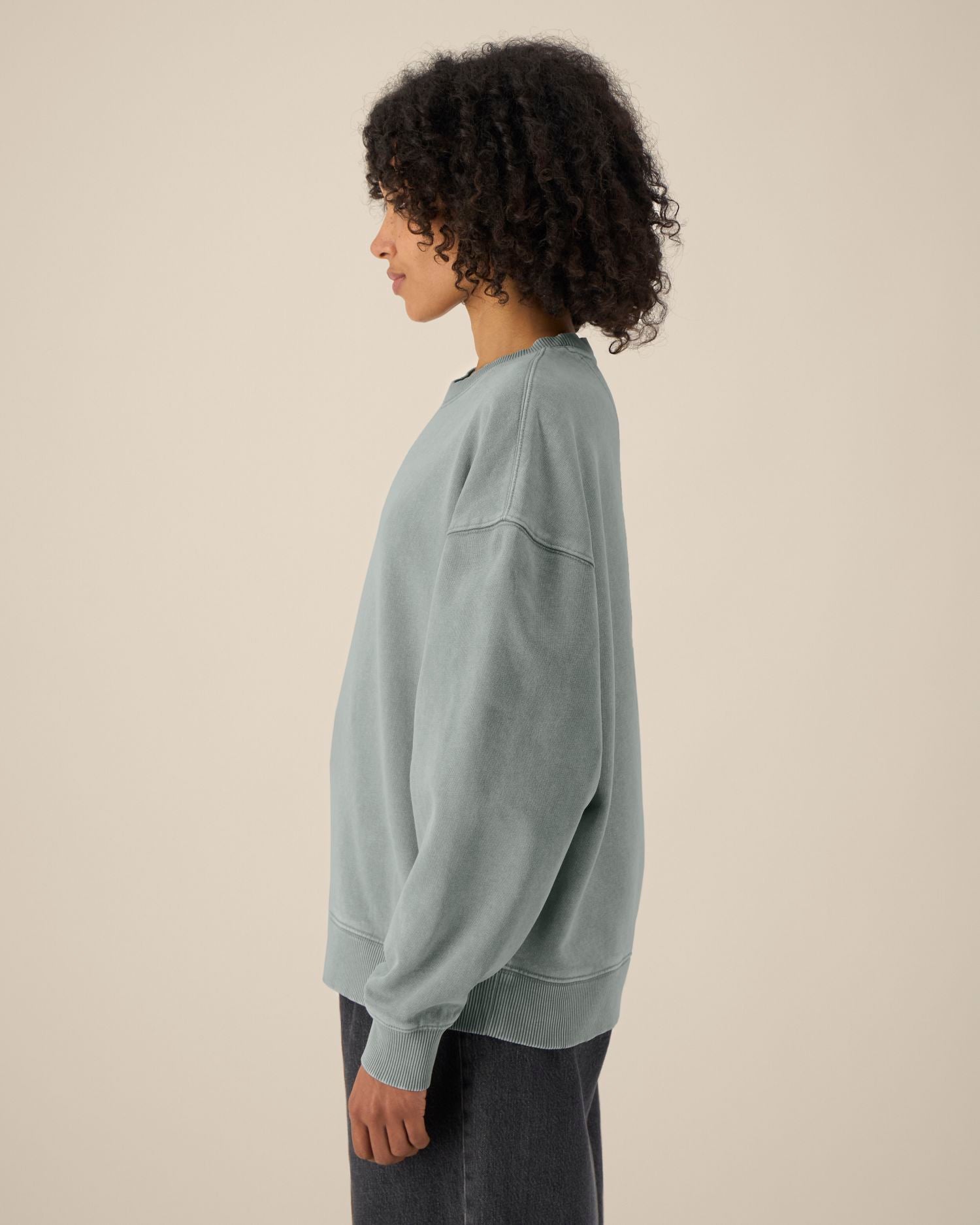 Unisex Organic Oversized Garment Dyed Crew Neck Sweatshirt - 380 GSM | Radder 2.0 Vintage STSU210