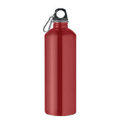 Single Wall Bottle 1000ml | RE-ONE MOSS - MO2829