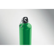 Single Wall Bottle 1000ml | RE-ONE MOSS - MO2829