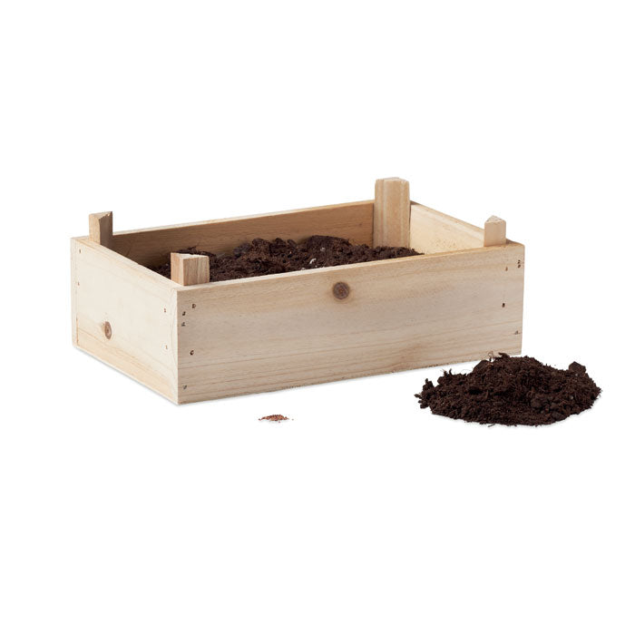 Strawberry Kit In Wooden Crate | STRAWBERRY - MO6506