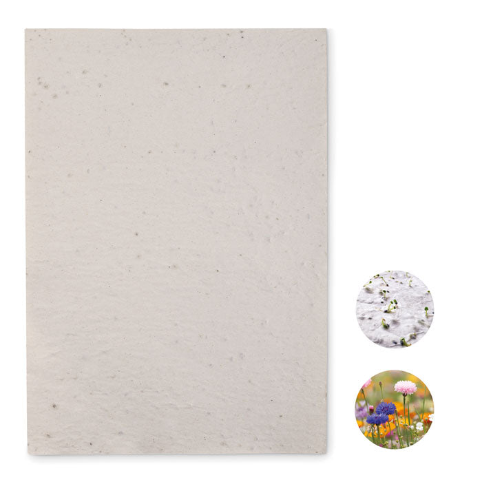 wildflower seed sheets A4 Wildflower Seed Paper Sheet | ASIDI