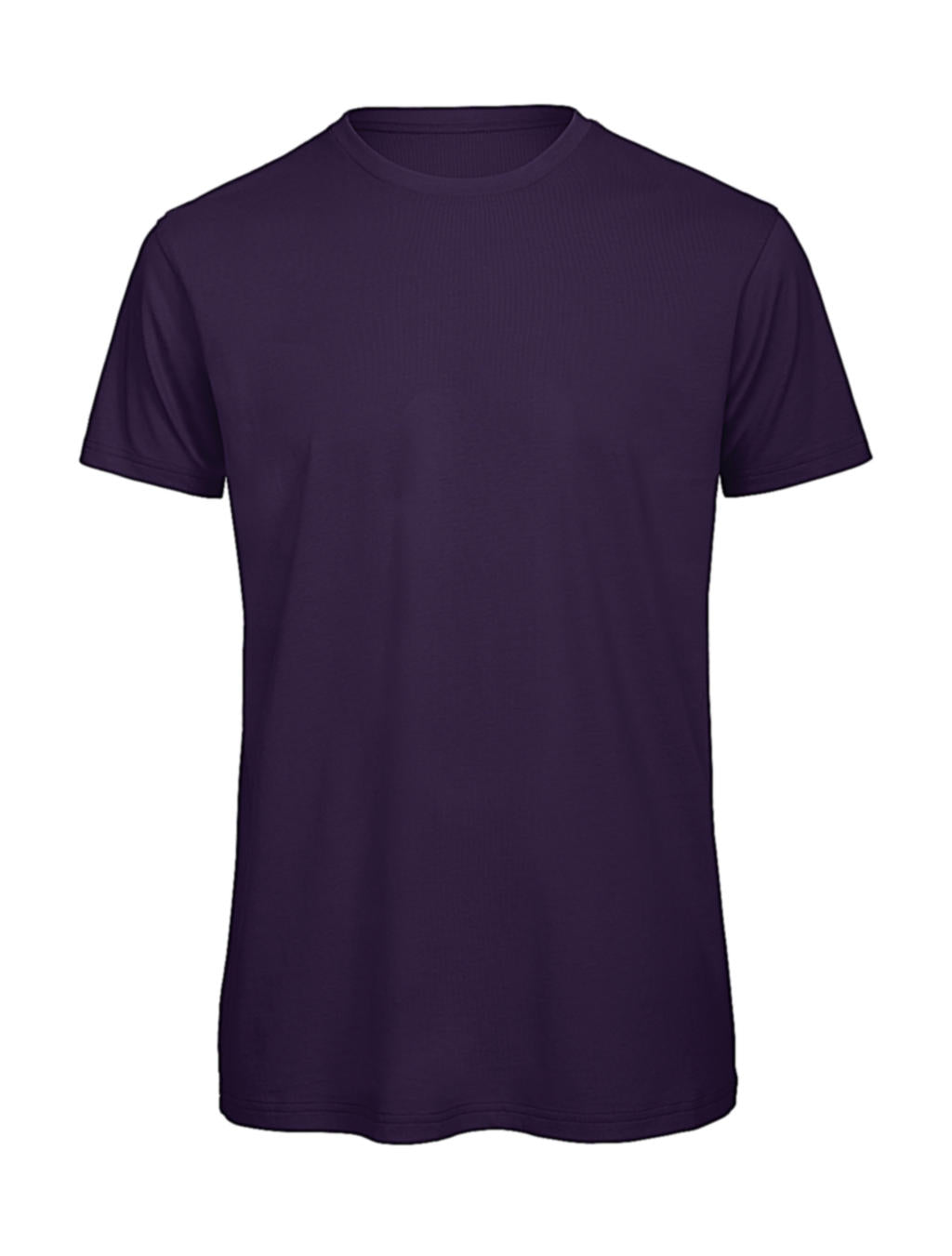B&C 10242 - Organic Inspire T /men