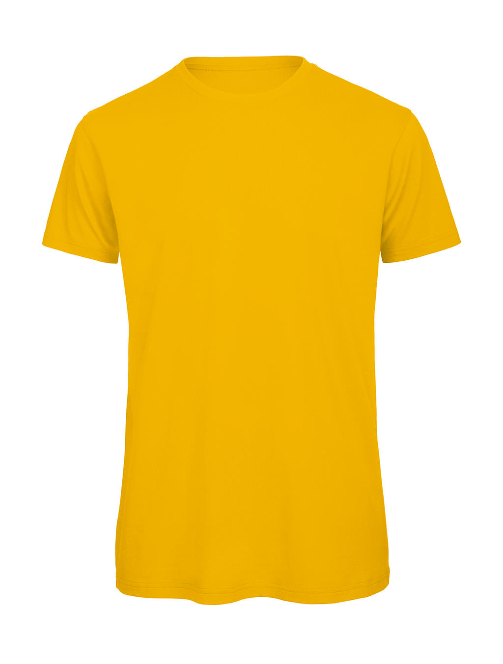 B&C 10242 - Organic Inspire T /men