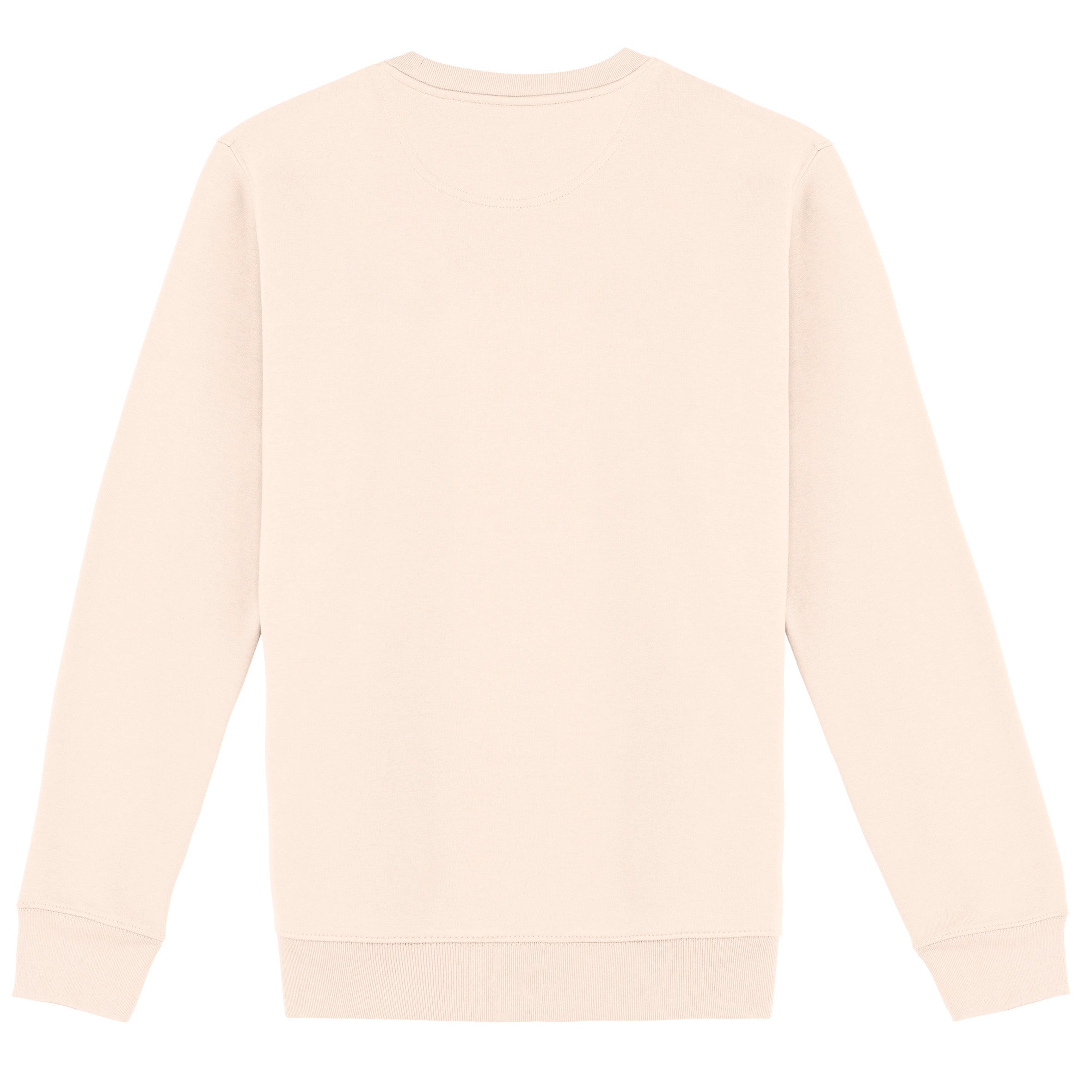 Unisex  Crew Neck Sweatshirt - 350gr - NS400