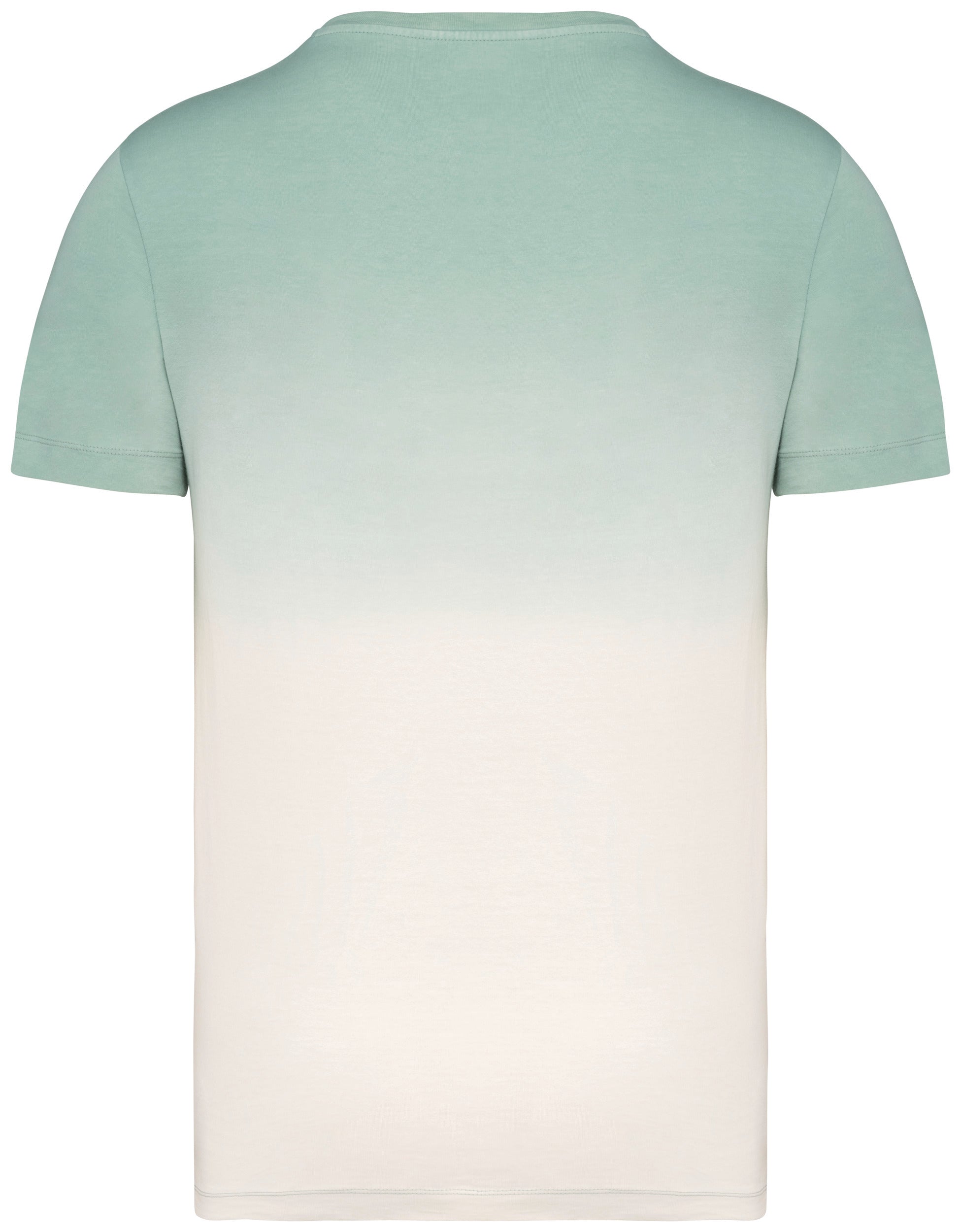 Unisex Dip-dye T-shirt - 180gsm - NS345