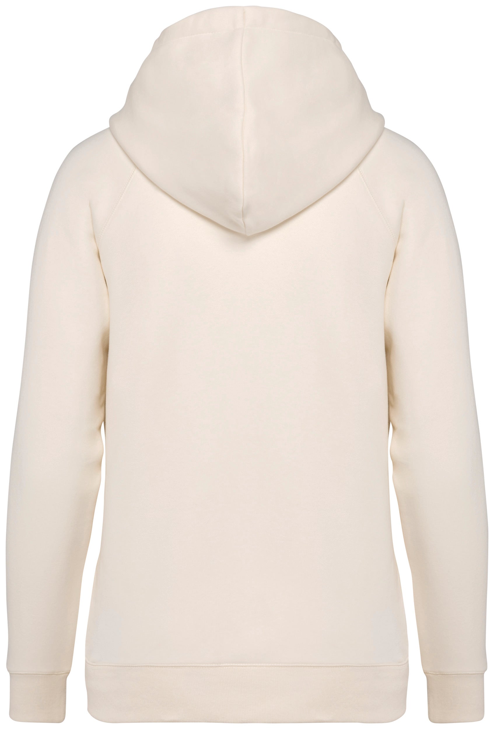 Ladies’ Hooded Sweatshirt With Raglan Sleeves - 350gsm - NS422