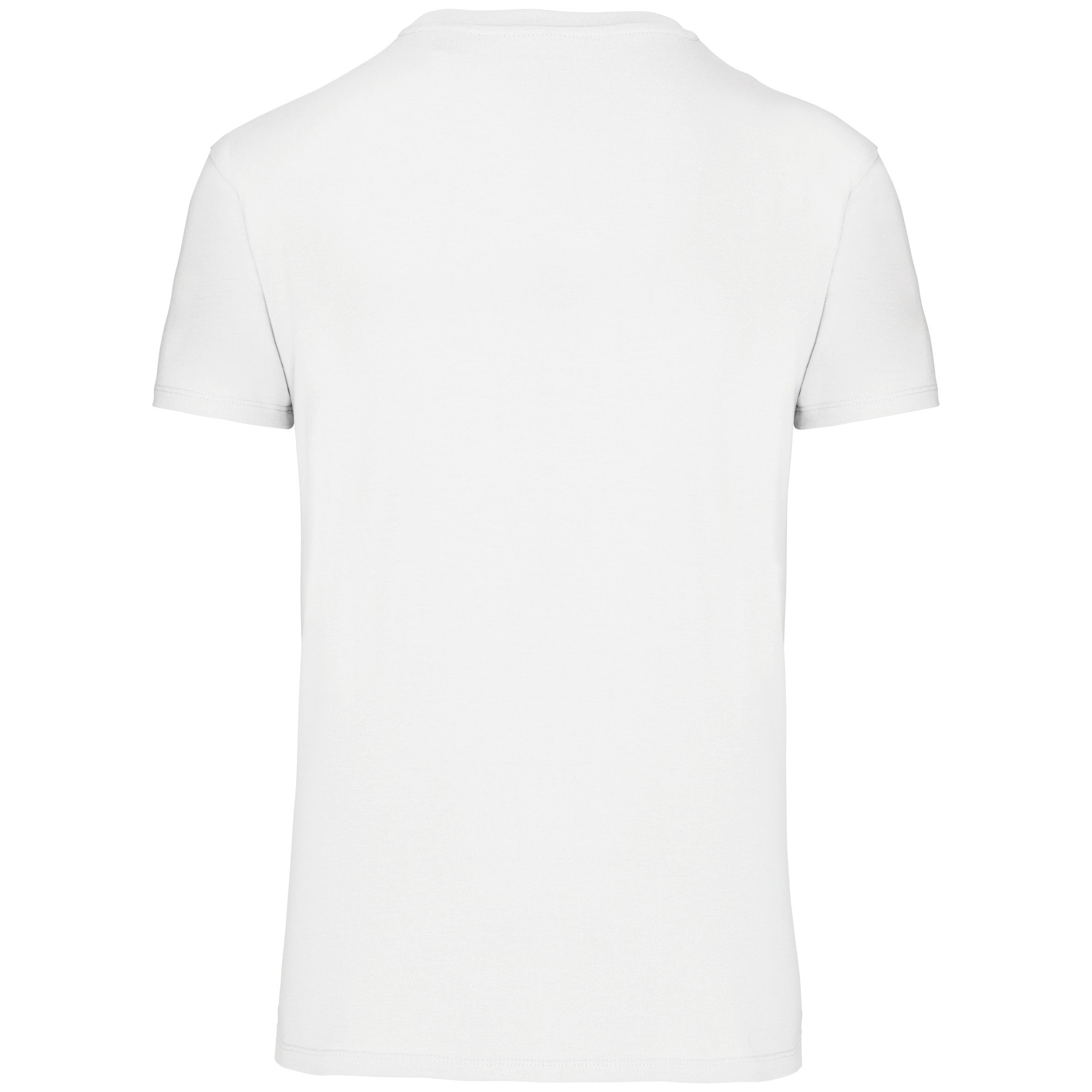 Men's Organic Cotton V-neck T-shirt | K3028IC