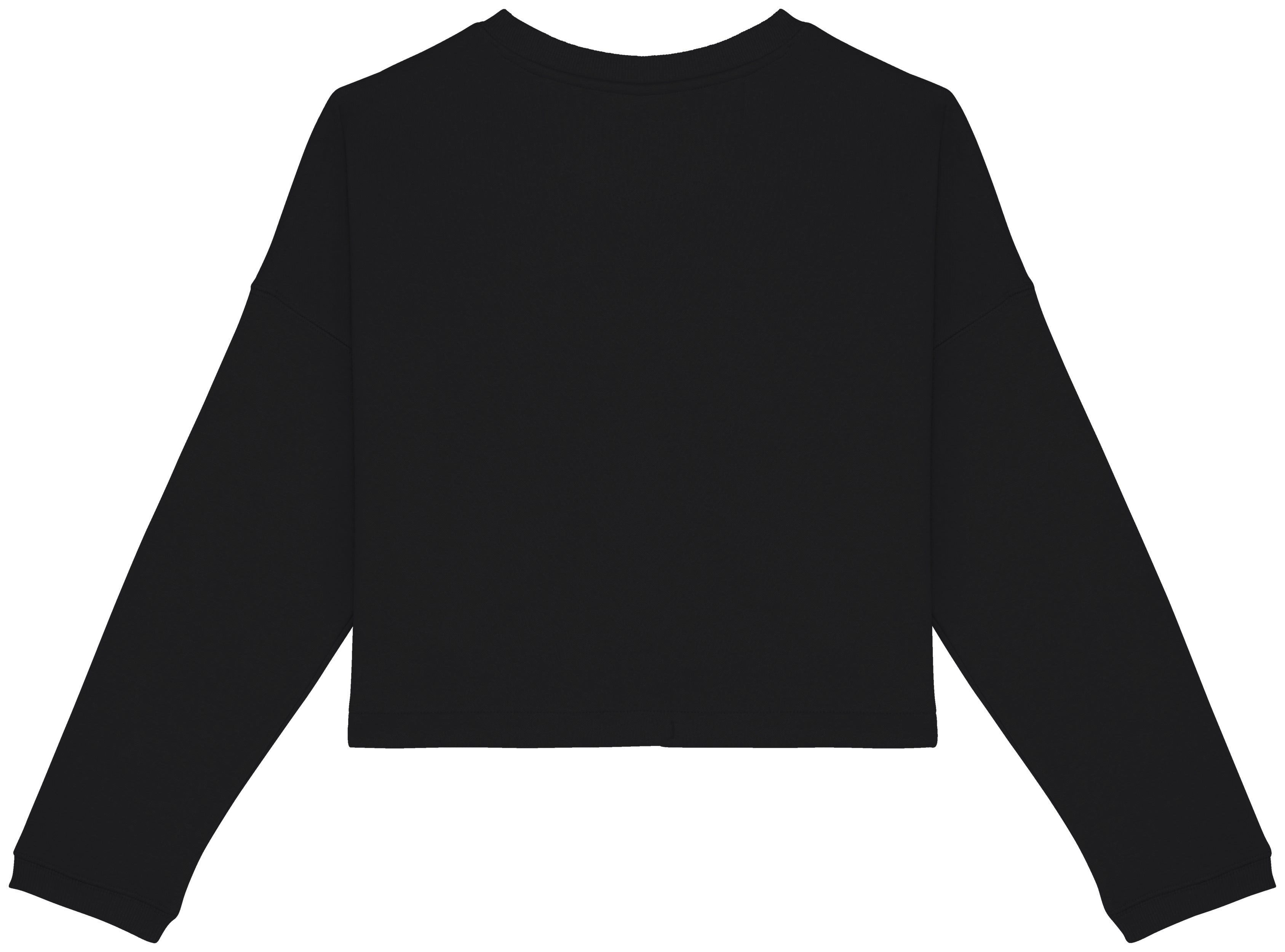 Ladies’ Crew Neck Sweatshirt - 280g - NS429