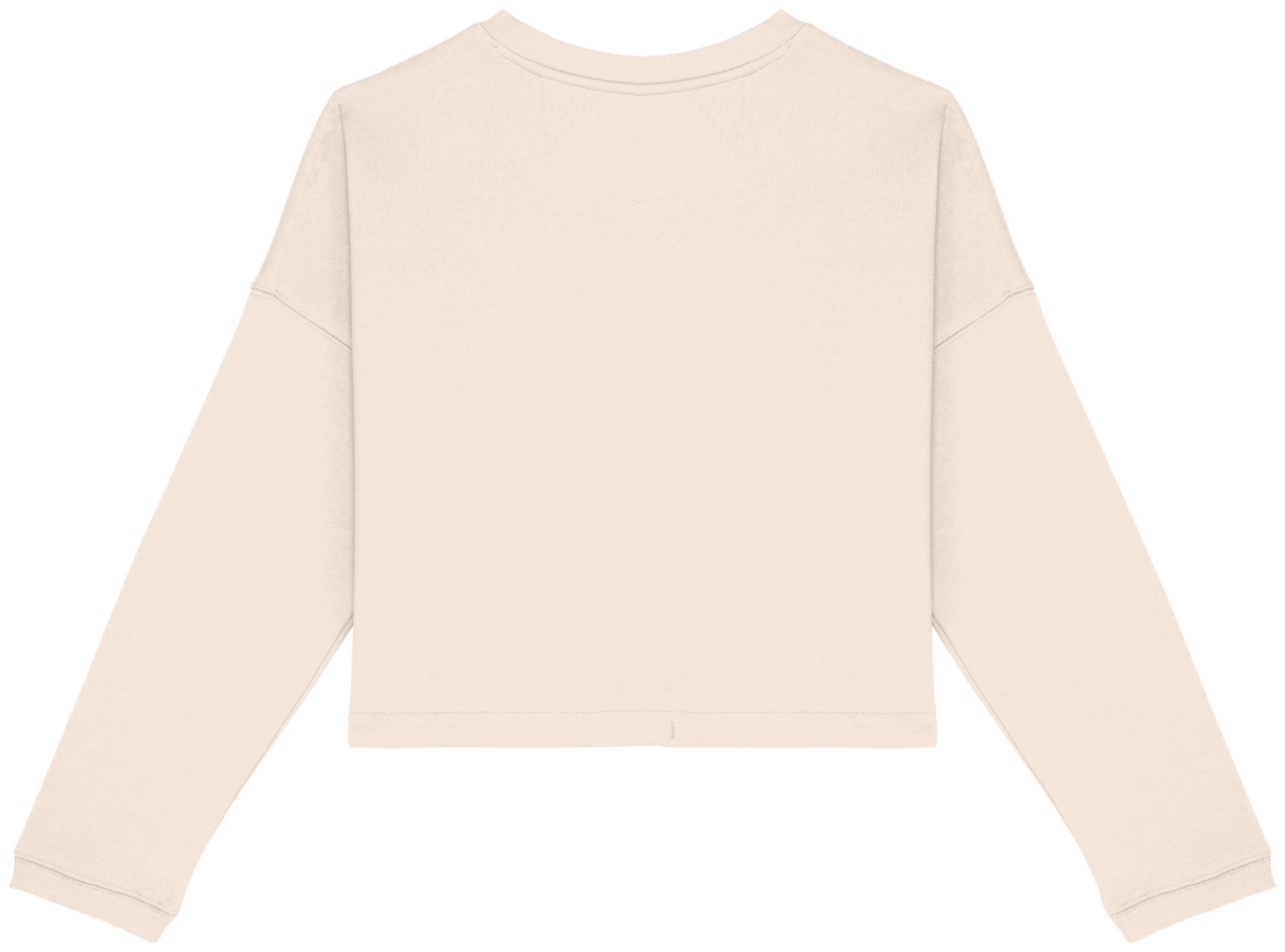 Ladies’ Crew Neck Sweatshirt - 280g - NS429